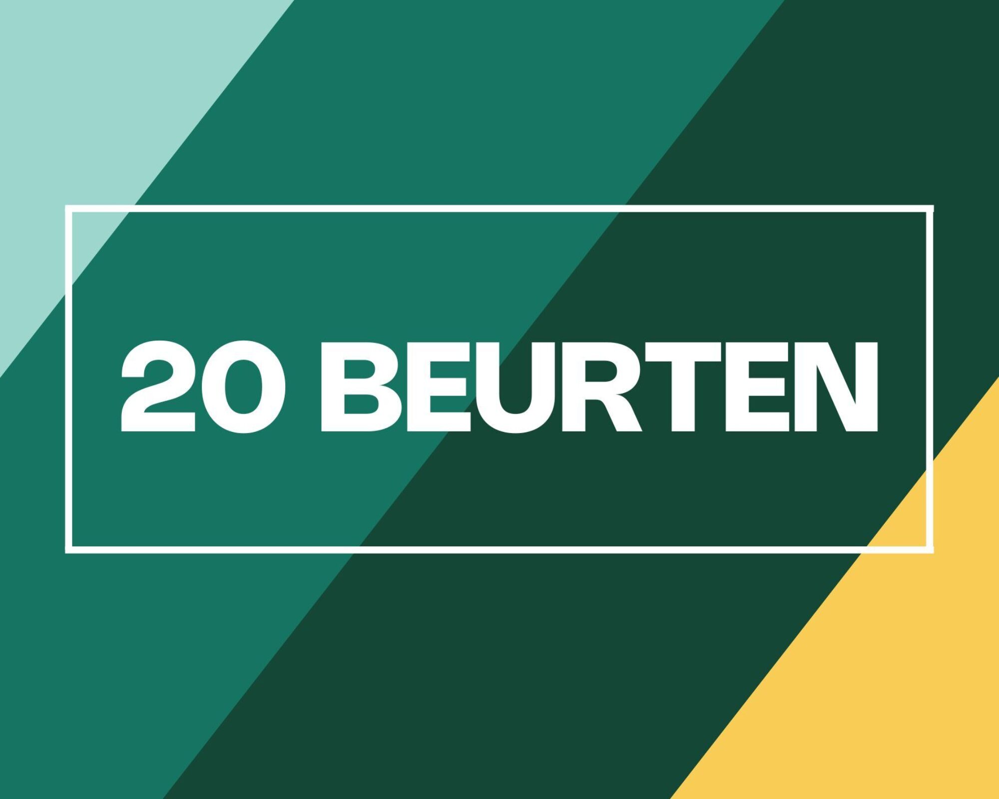 Zelf gemaakt 20 beurten